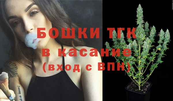 кокс Белокуриха