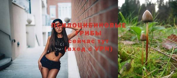 кокс Белокуриха